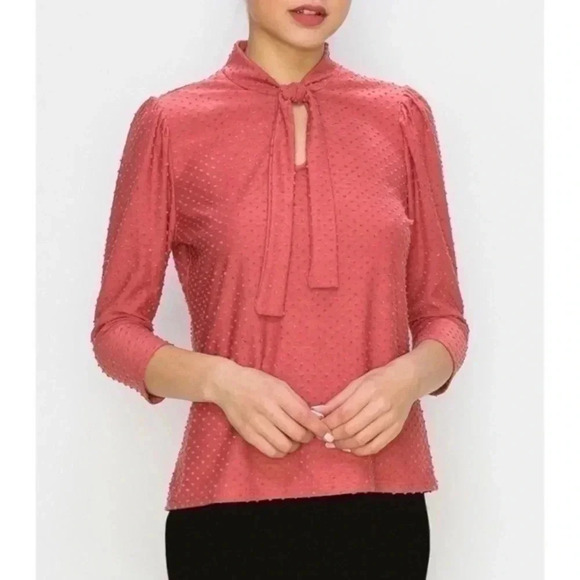 💥 W5 dark coral Swiss dot v neck tie top Small - Picture 1 of 8